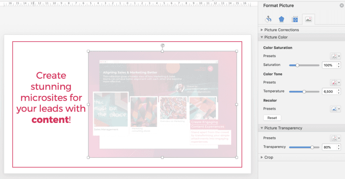 How to make a picture transparent in powerpoint | Paperflite | Final Transparent Image