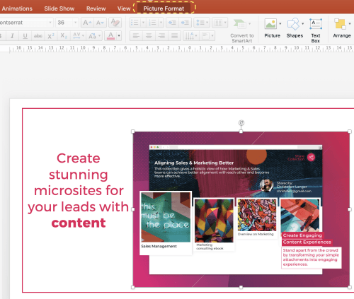 How to make a picture transparent in powerpoint | Paperflite | Picture Format