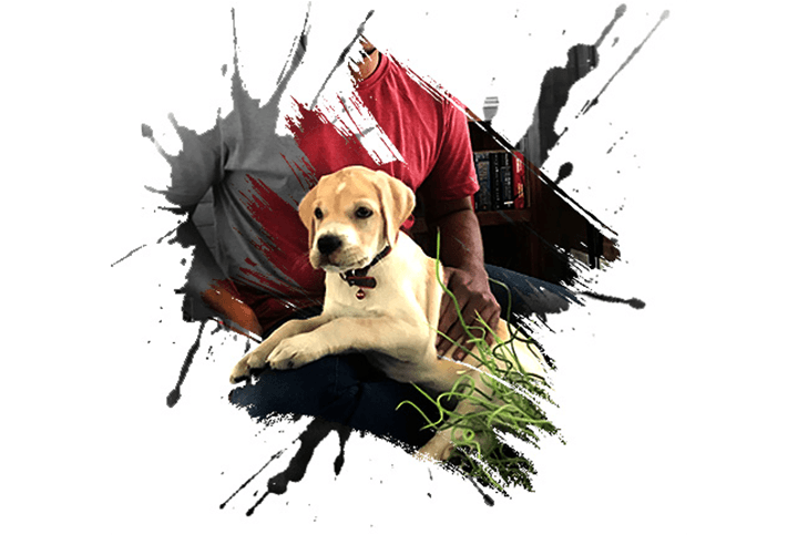 In his new role as the Chief Welcome Officer, Mario greets everyone with 500 tail wags, 100 wet wipes for the face and 50 jumps to keep your attention as you walk-in.