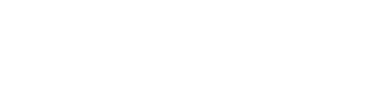 Perfection Learning